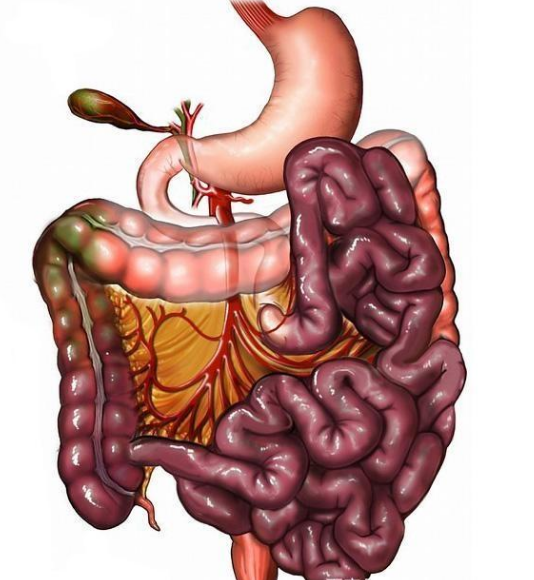 腸息肉者，排便出現(xiàn)3個異常，十有八九息肉已變成“癌”